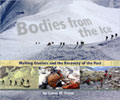Book Cover Art